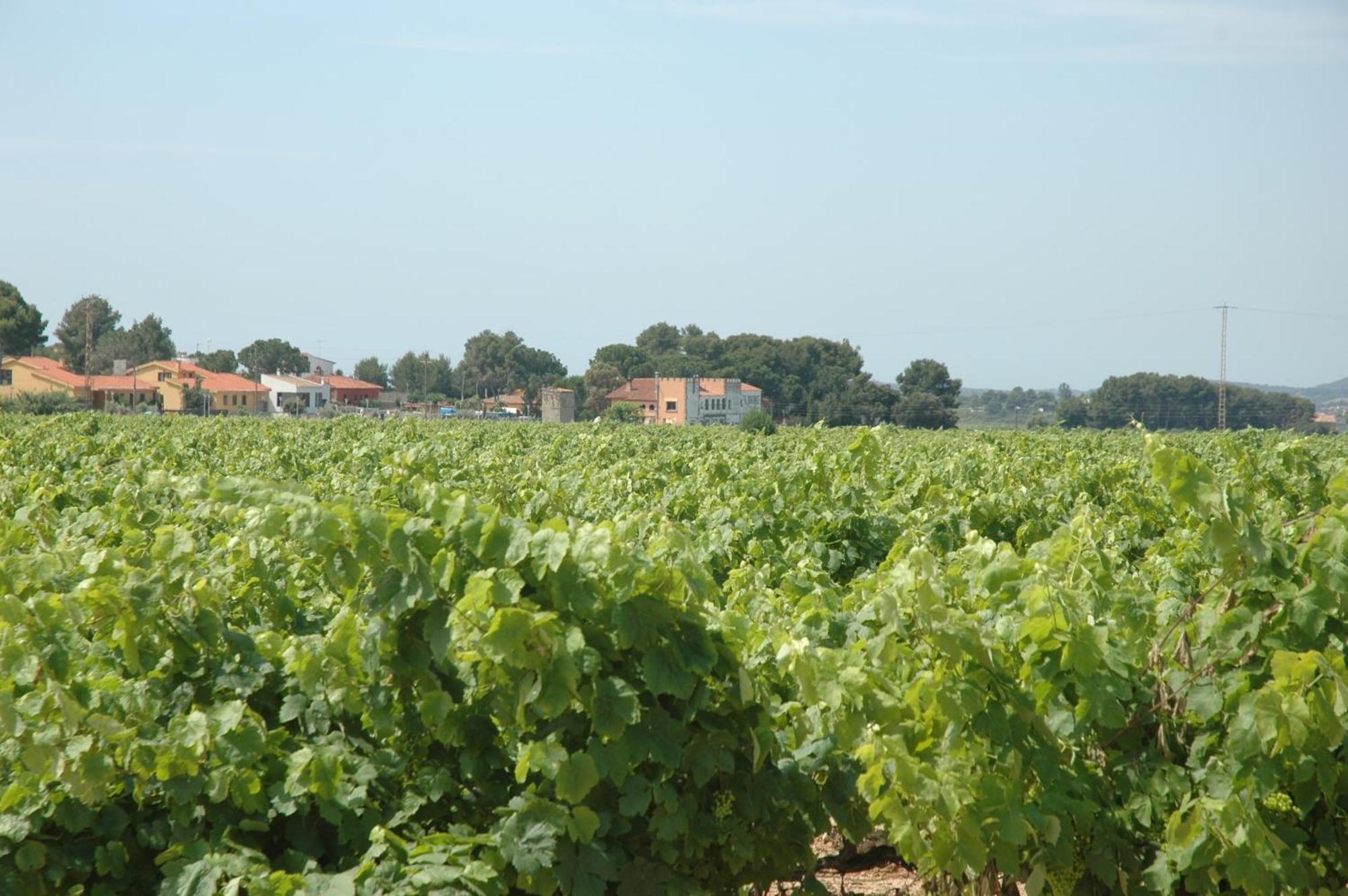 Hotel Restaurant El Bosc Banyeres del Penedes Екстер'єр фото